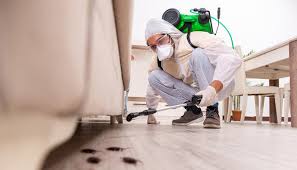 Professional Pest control in West Elmira, NY